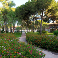 Belek 2018